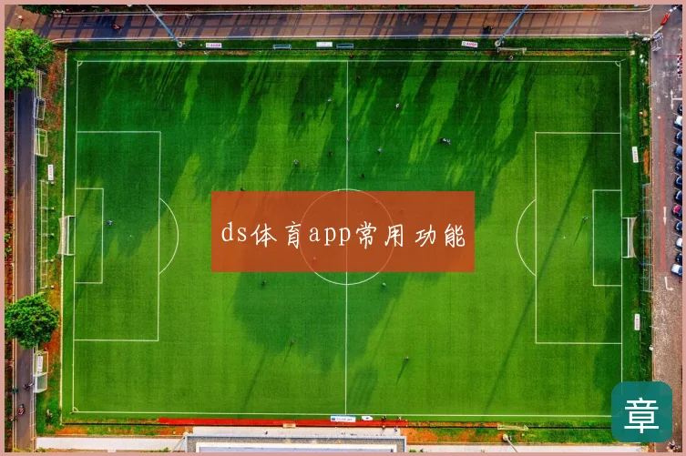 ds体育app常用功能