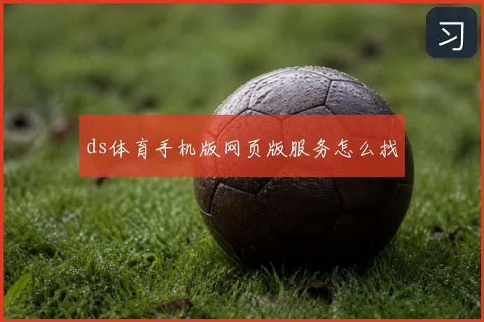 ds体育手机版网页版服务怎么找